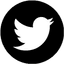 Twitter Icon